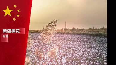 4K新疆棉花主题宣传展示视频的预览图